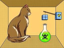 مدل‌های کوانتومی برای رهبران کسب‌وکار: بهره‌برداری از عدم قطعیت با استفاده از اصول گربه شرودینگر و عدم قطعیت هایزنبرگ